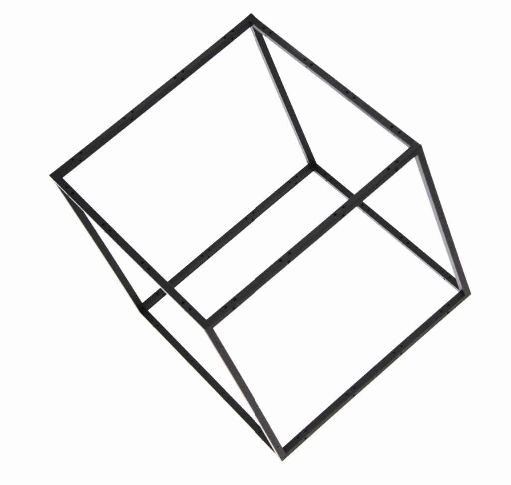 The original cube